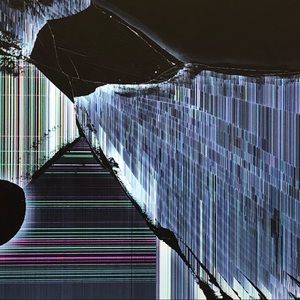 Meet your Posher, Beau